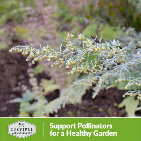 Support Pollinators for a Healthy Garden