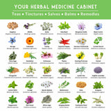 Illustration of various herbs with their names on a white background, titled 'Your Herbal Medicine Cabinet'.