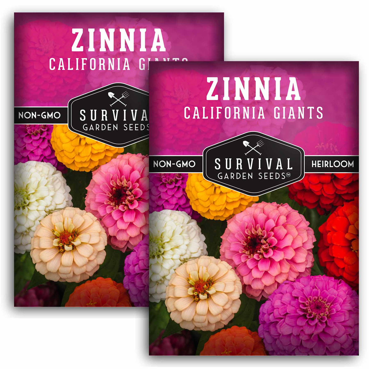 2 Packets of California Giants Zinnia seeds