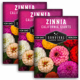 3 Packets of California Giants Zinnia seeds