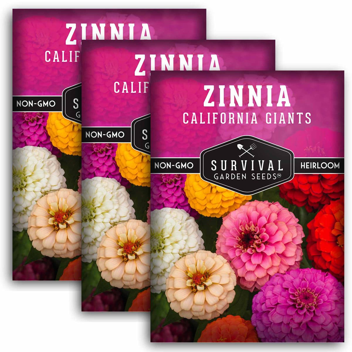 3 Packets of California Giants Zinnia seeds