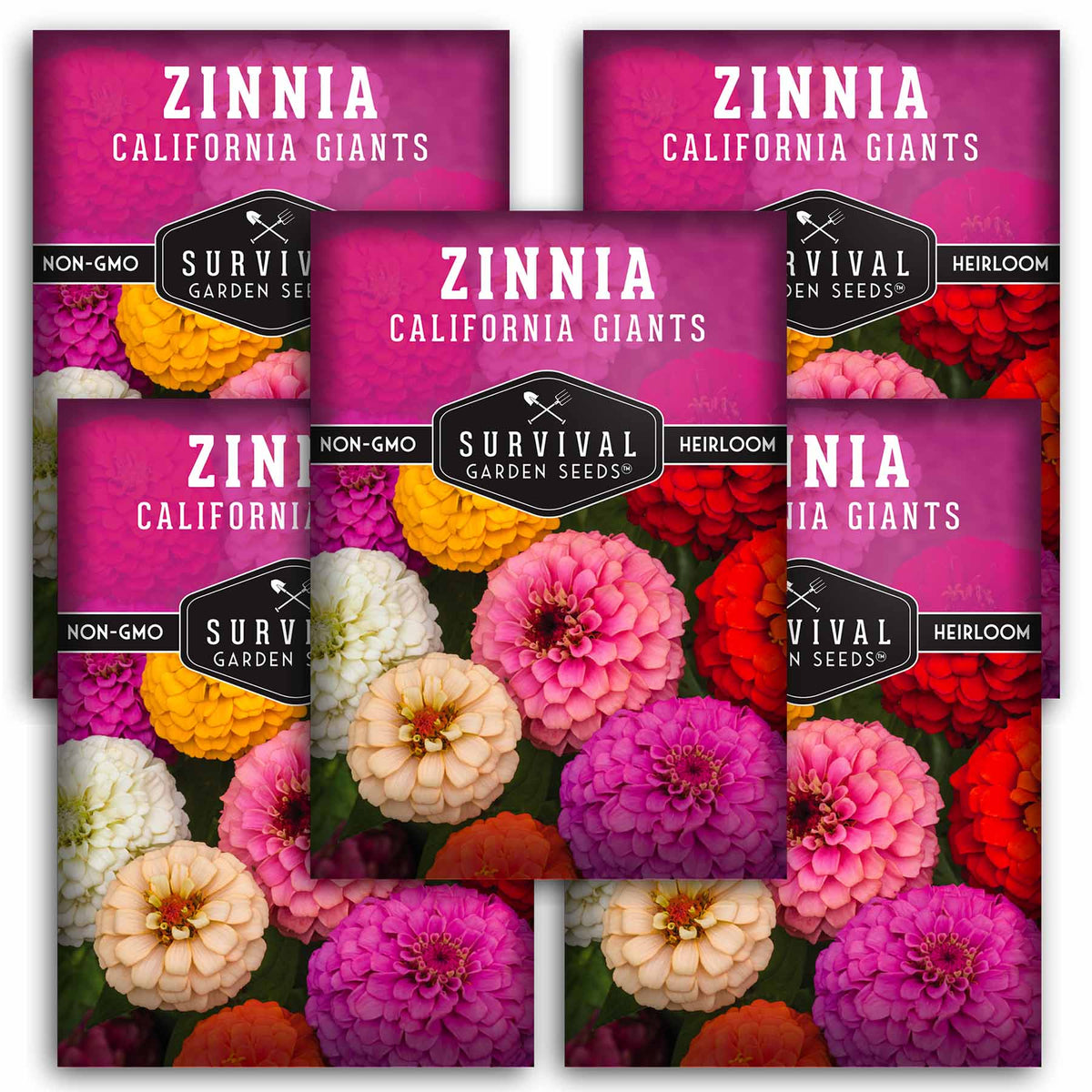 5 Packets of California Giants Zinnia seeds
