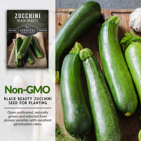 Non-GMO Zucchini