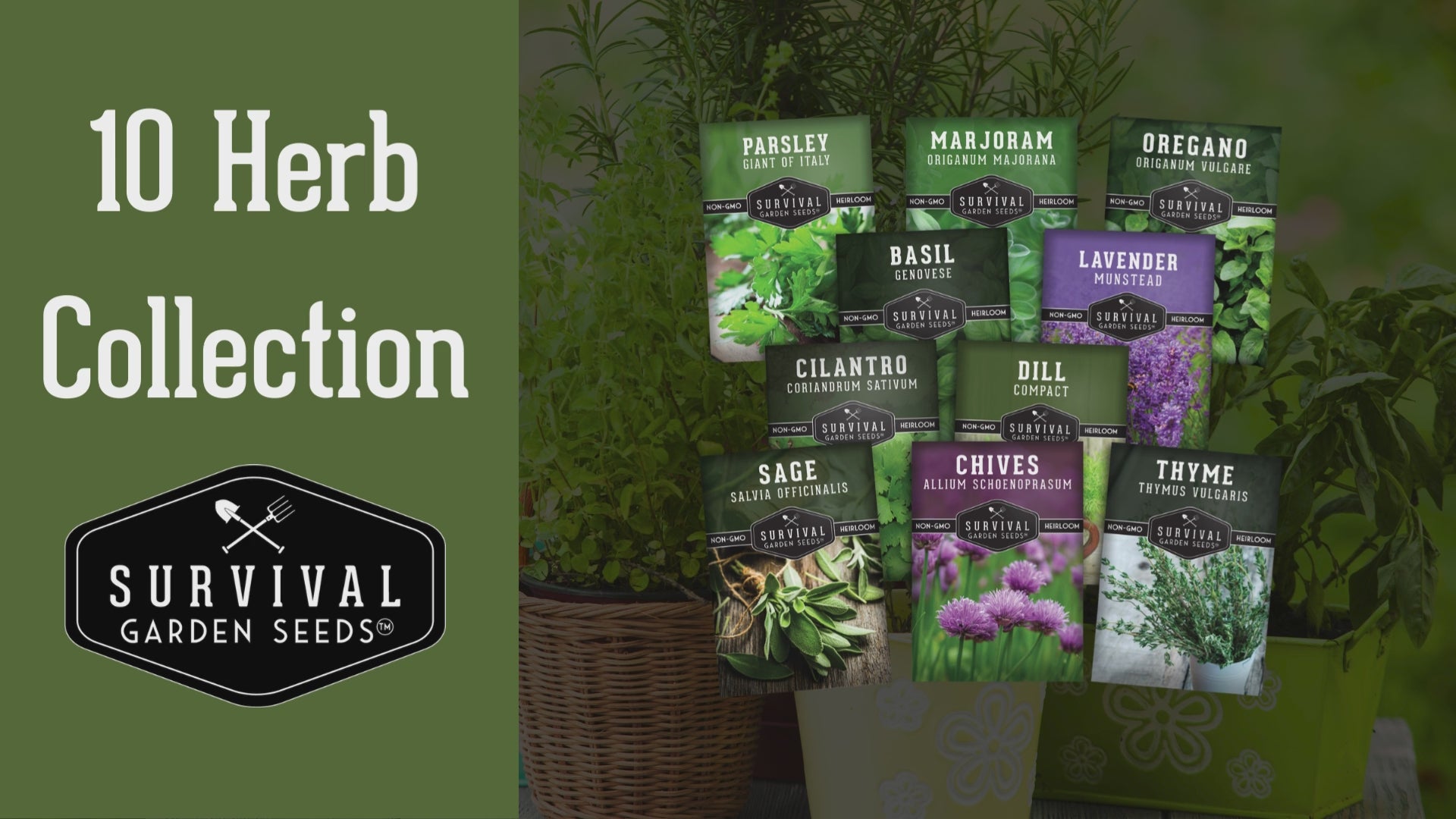 Herb Seeds 10 Variety Pack | Culinary – SurvivalGardenSeeds