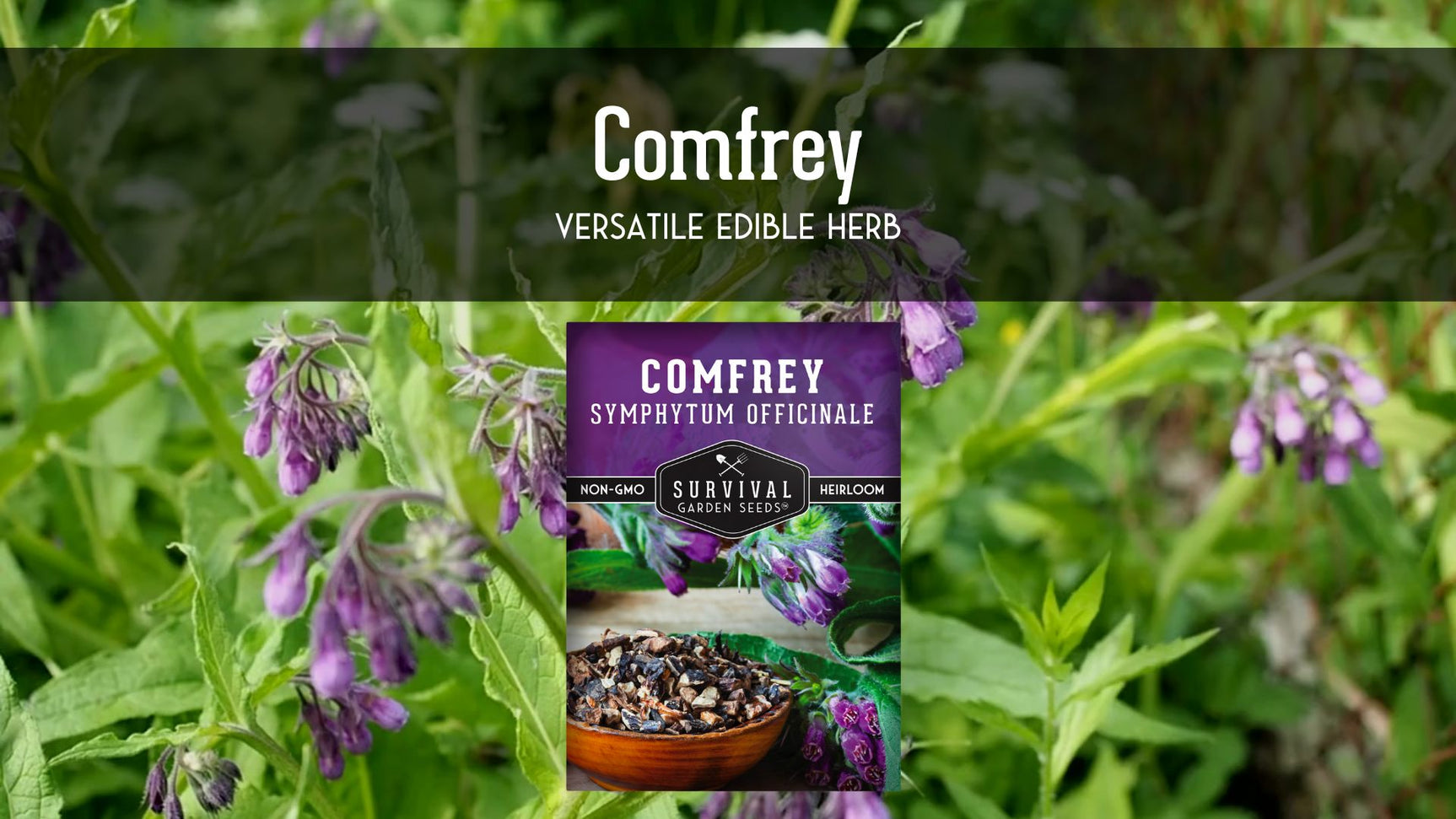 Video describing the features of comfrey