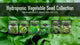 Video explaining our Hydropic Vegetable Seed Collection