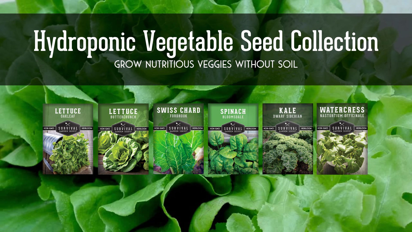 Video explaining our Hydropic Vegetable Seed Collection