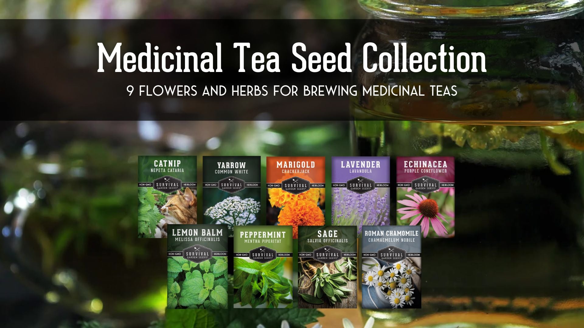 9 Medicinal Tea Herbs – Heirloom Non-GMO Seeds – SurvivalGardenSeeds