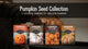 Video explaining our Pumpkin Seed Collection