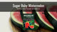 Video about Sugar Baby Watermelon seeds