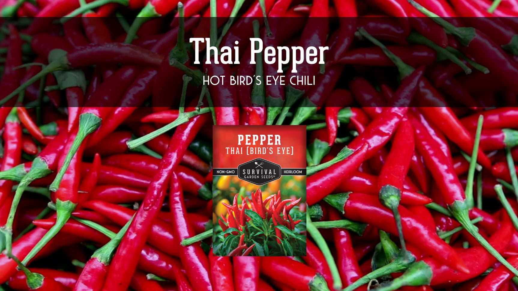 A video describing the features of Thai Peppers
