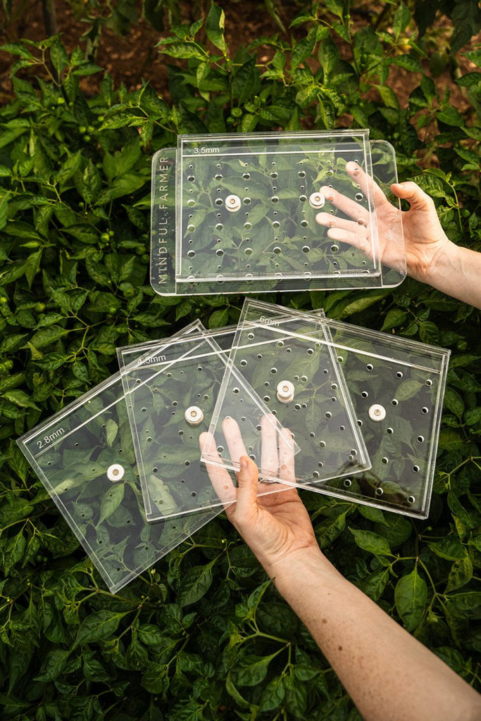 A set of clear plastic seed plates with a grid of holes for planting, held in hands against a green leafy background.