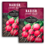 Cherry Belle Radish Seeds