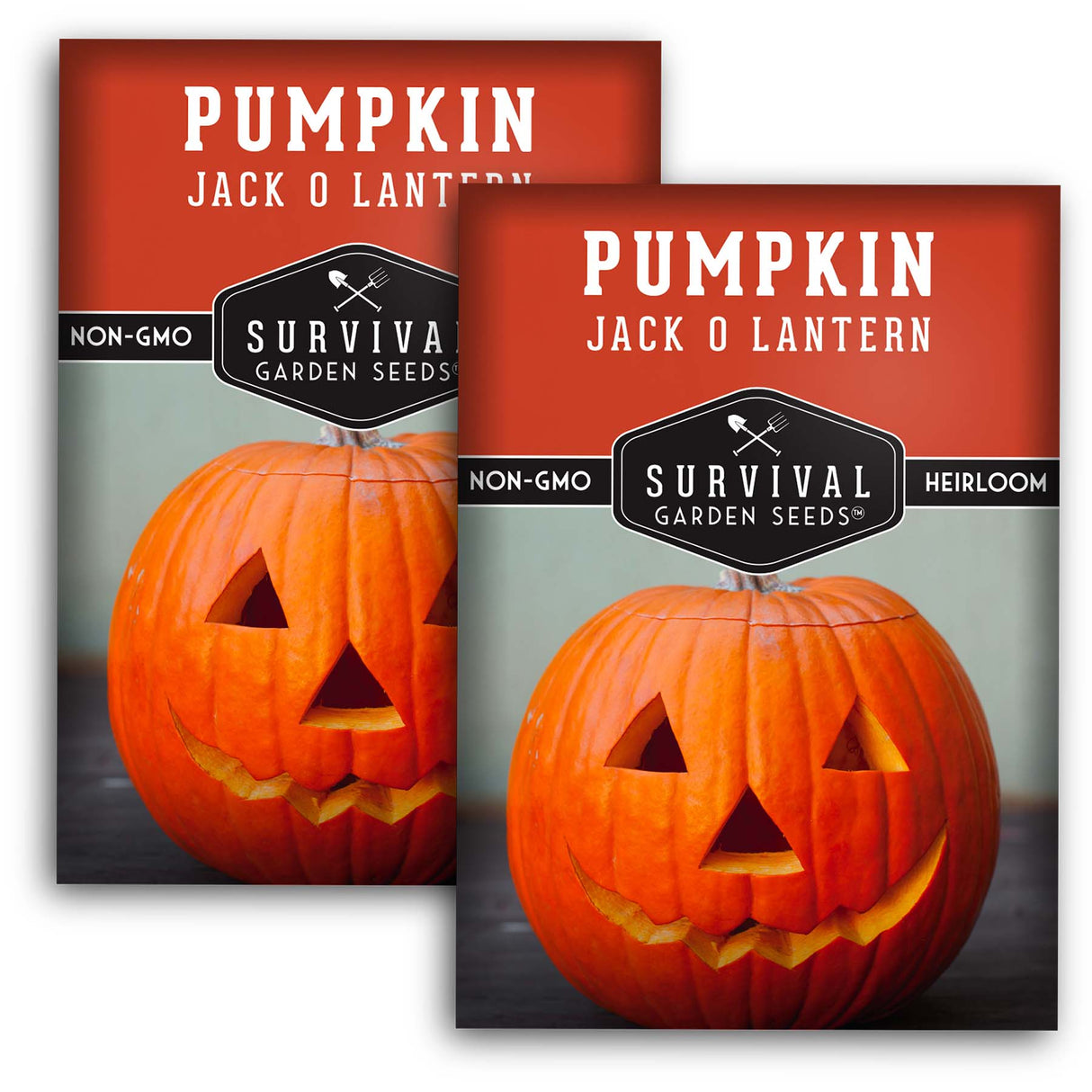 2 packets of Jack O'Lantern pumpkin seeds