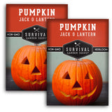 2 packets of Jack O'Lantern pumpkin seeds