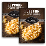 Japanese Hulless Popcorn Seed