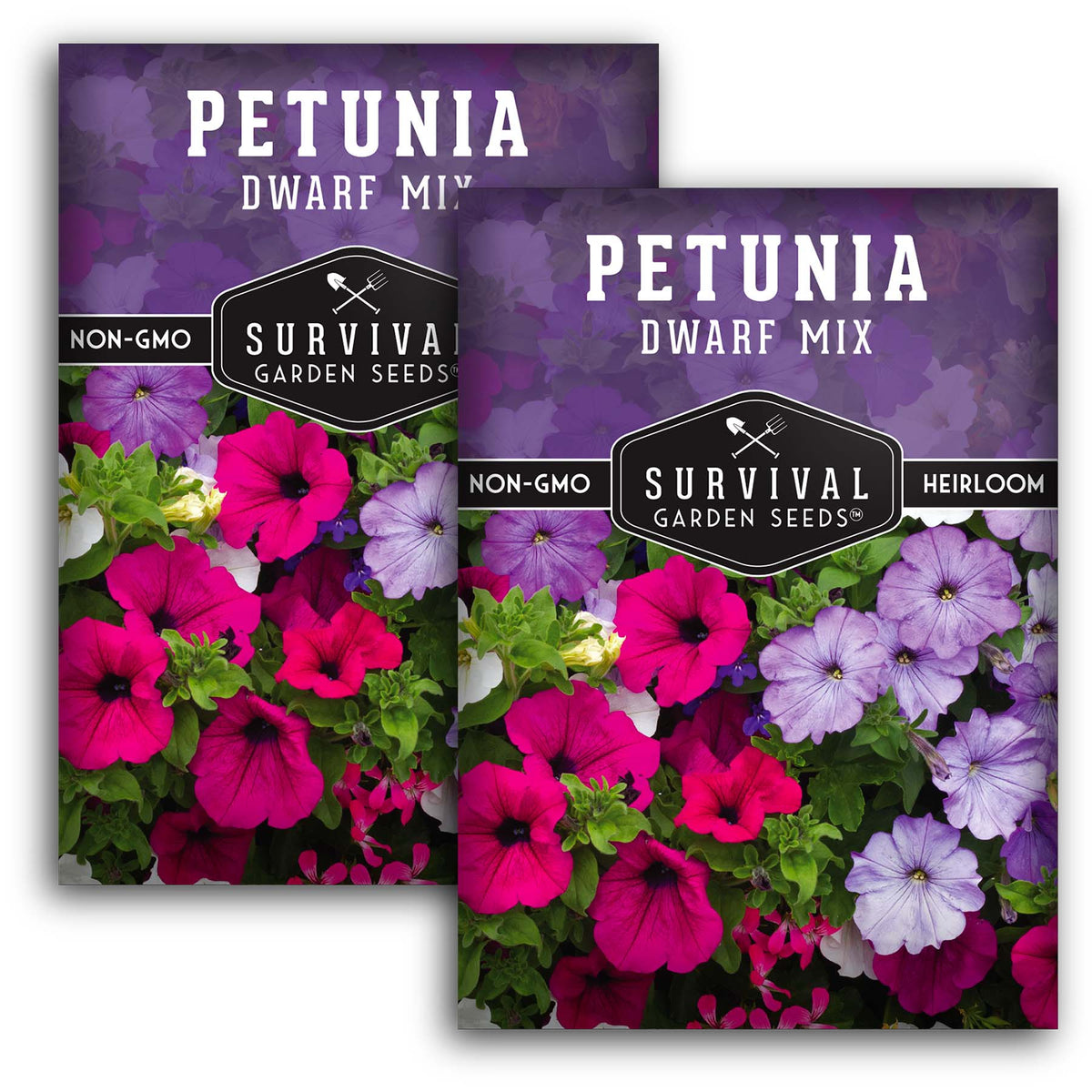 Dwarf Petunia Seed Mix