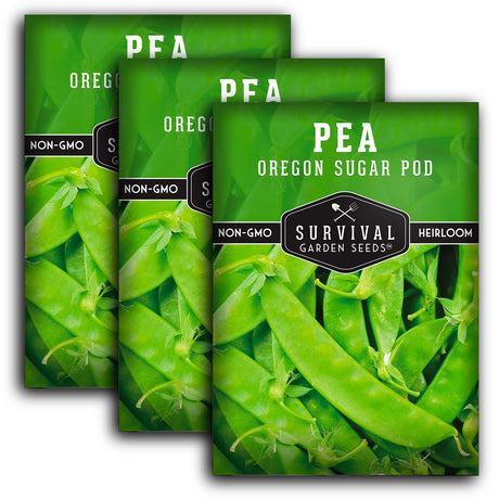 Oregon Sugar Pod II Pea Seed