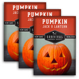 Jack-O-Lantern Pumpkin Seed