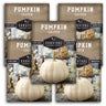 Casper Pumpkin Seed