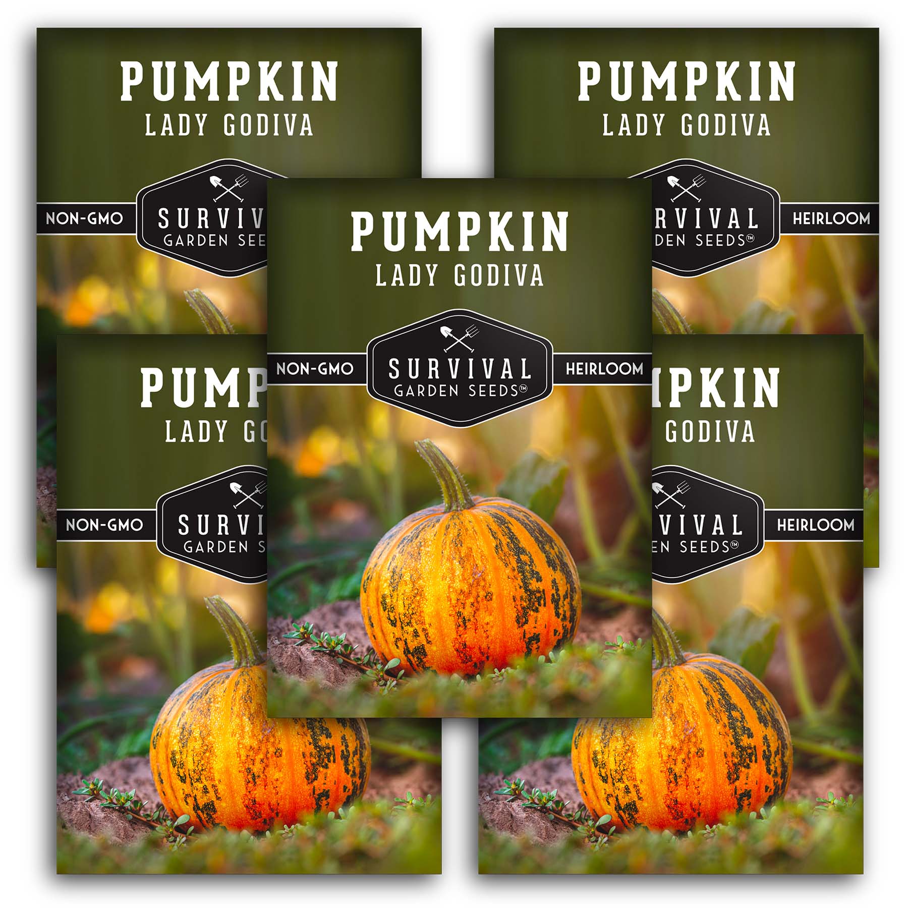 Lady Godiva Pumpkin Seeds – Heirloom Hulless Variety Lady Godiva Pumpkin Seeds – Heirloom Hulless Variety