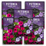 Dwarf Petunia Seed Mix