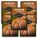 Fairy Tale Pumpkin Seed