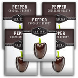 Chocolate Beauty Pepper