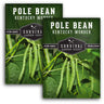 2 Packets of Kentucky Wonder Pole Bean seeds