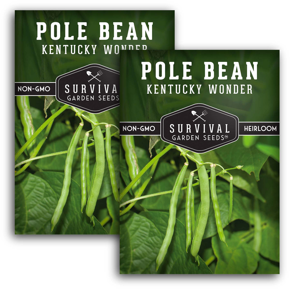 Kentucky Wonder Pole Bean Seed