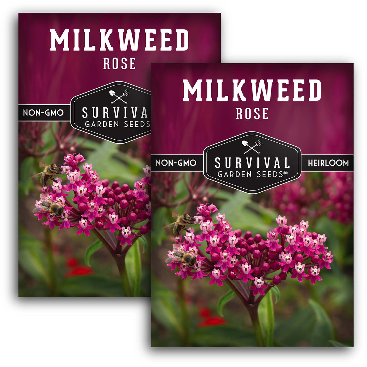 2 Packets of Rose Milkweed seeds