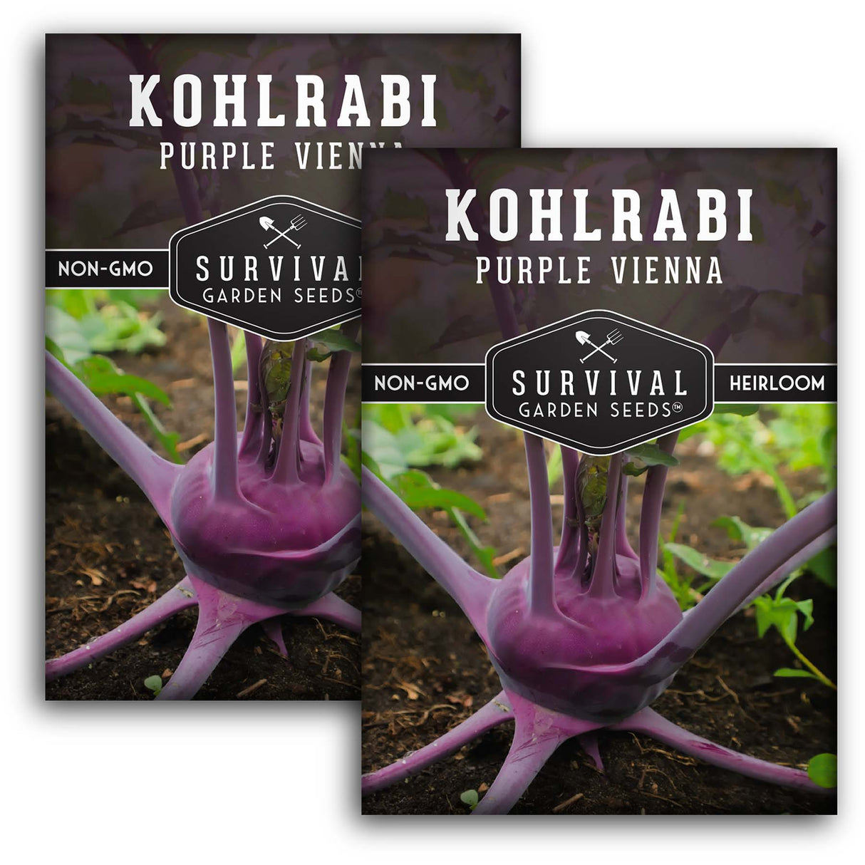 2 packets of Purple Vienna Kohlrabi seeds