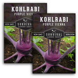 Purple Vienna Kohlrabi Seed