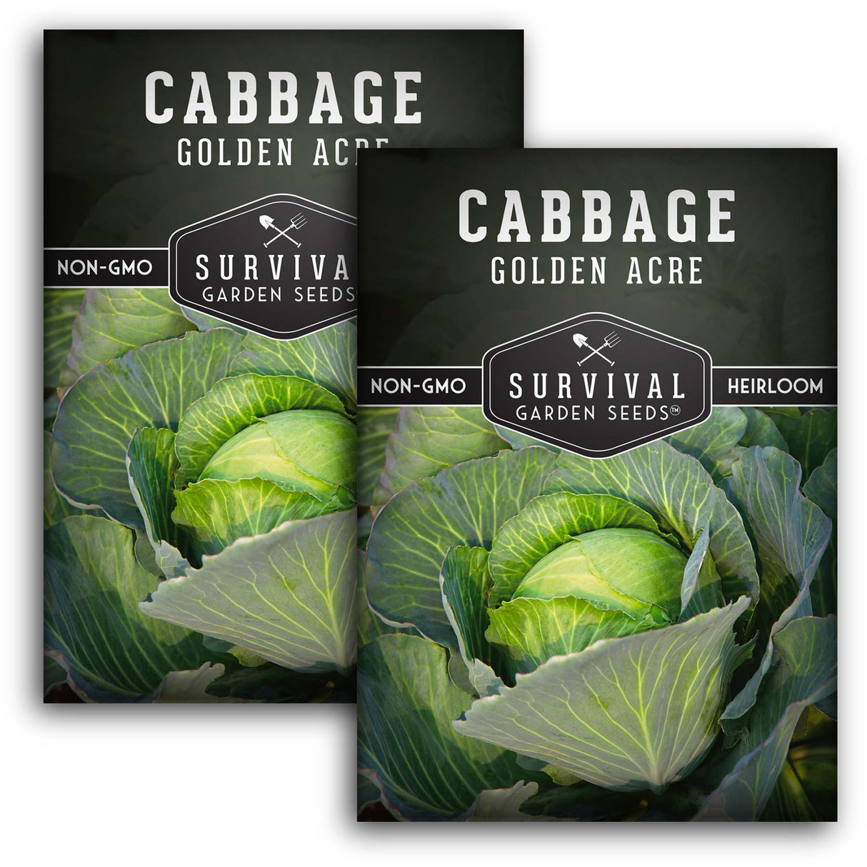 2 Packets of Golden Acre Cabbage seeds