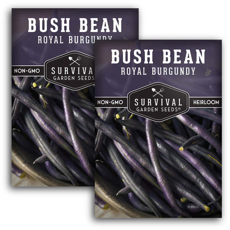 Royal Burgundy Bush Bean Seed