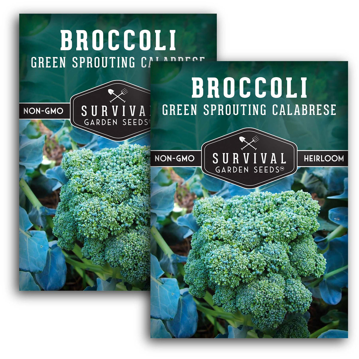 Green Sprouting Calabrese Broccoli Seeds
