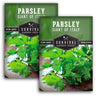 Italian Giant Parsley Seeds