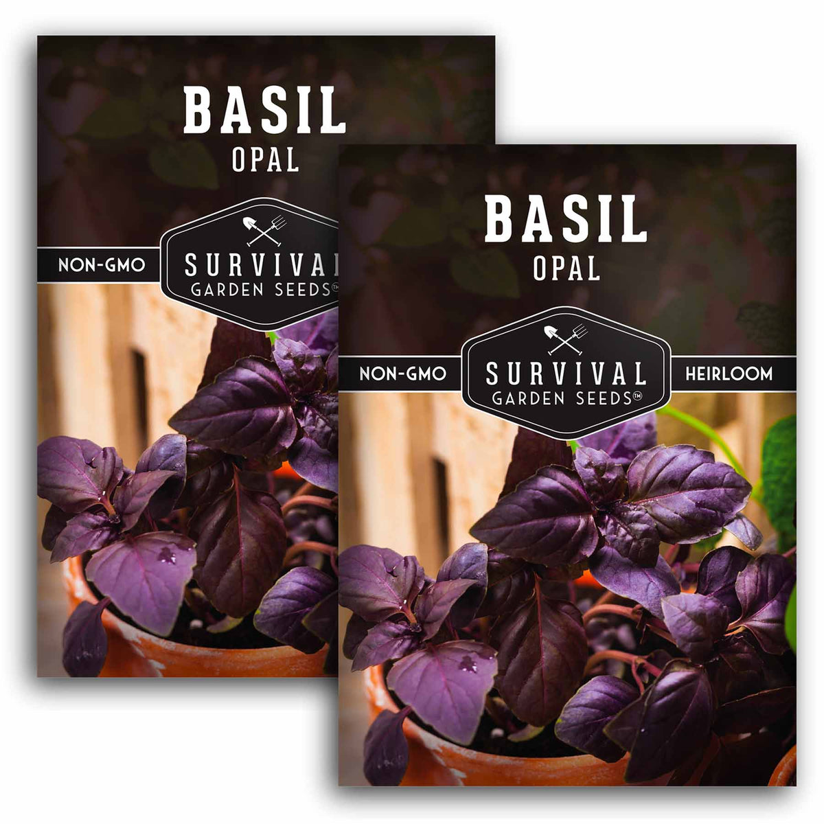 2 packs of opal basil seeds