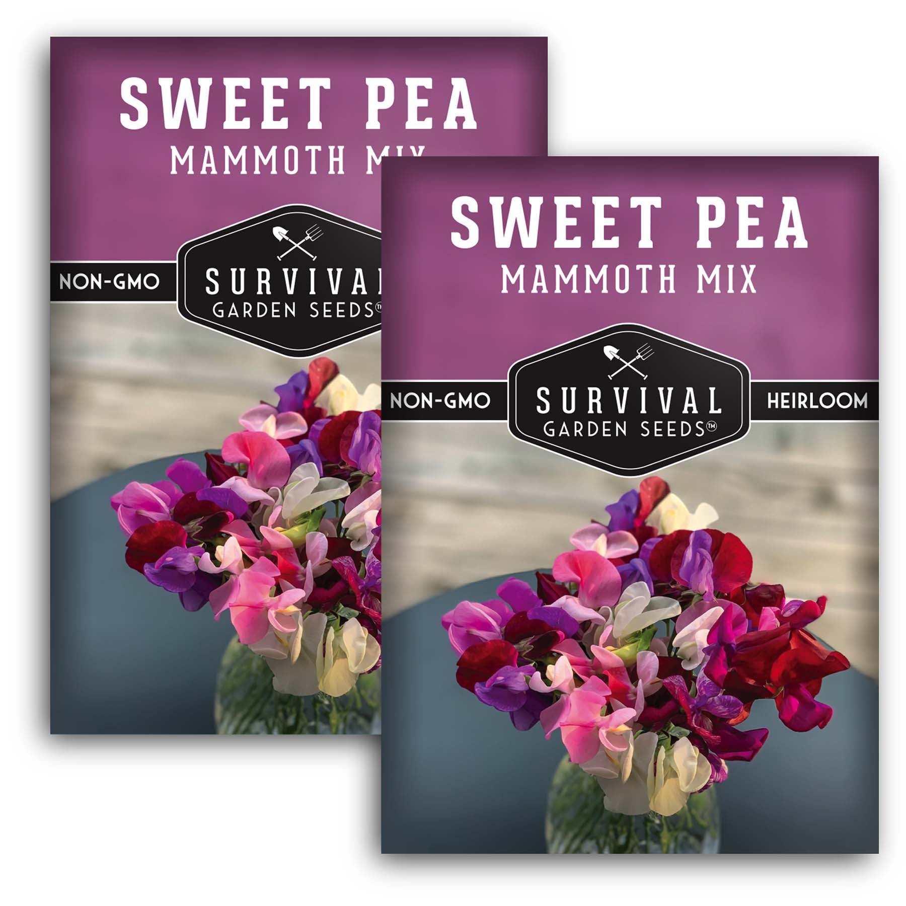 Mammoth Mix Sweet Pea Seeds - Thumbnail 5