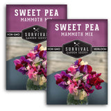 Mammoth Sweet Pea Seed Mix