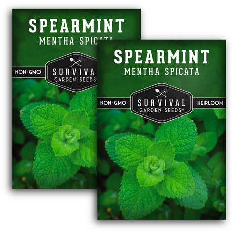 2 packets of Spearmint seeds