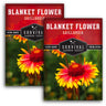 Blanket Flower Seeds