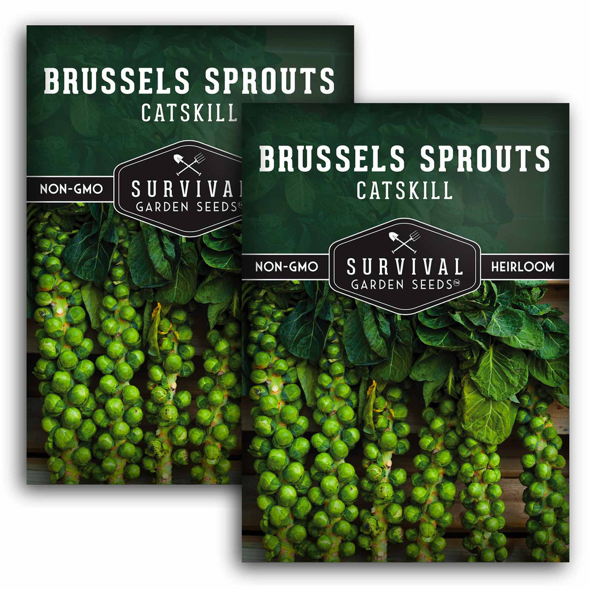 2 packs of Catskill Brussels Sprouts seeds