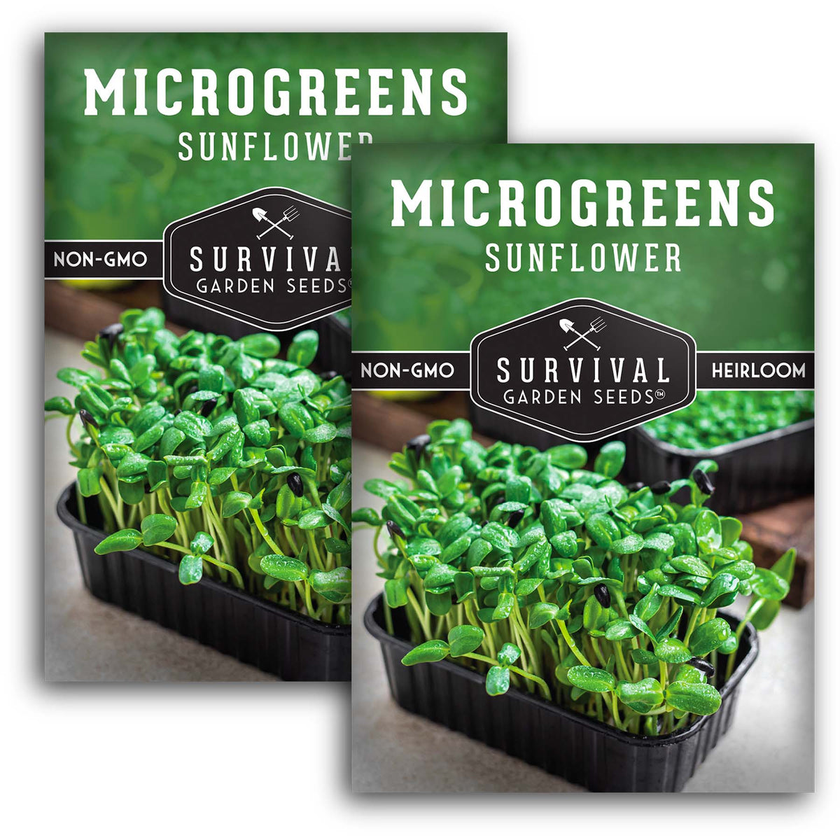 Sunflower Microgreens Seeds