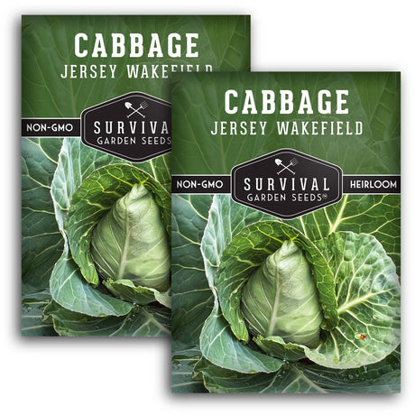 Jersey Wakefield Cabbage Seeds