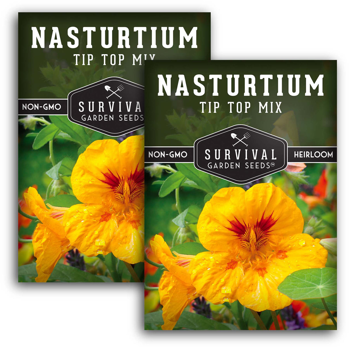 Tip Top Mix Nasturtium Seed