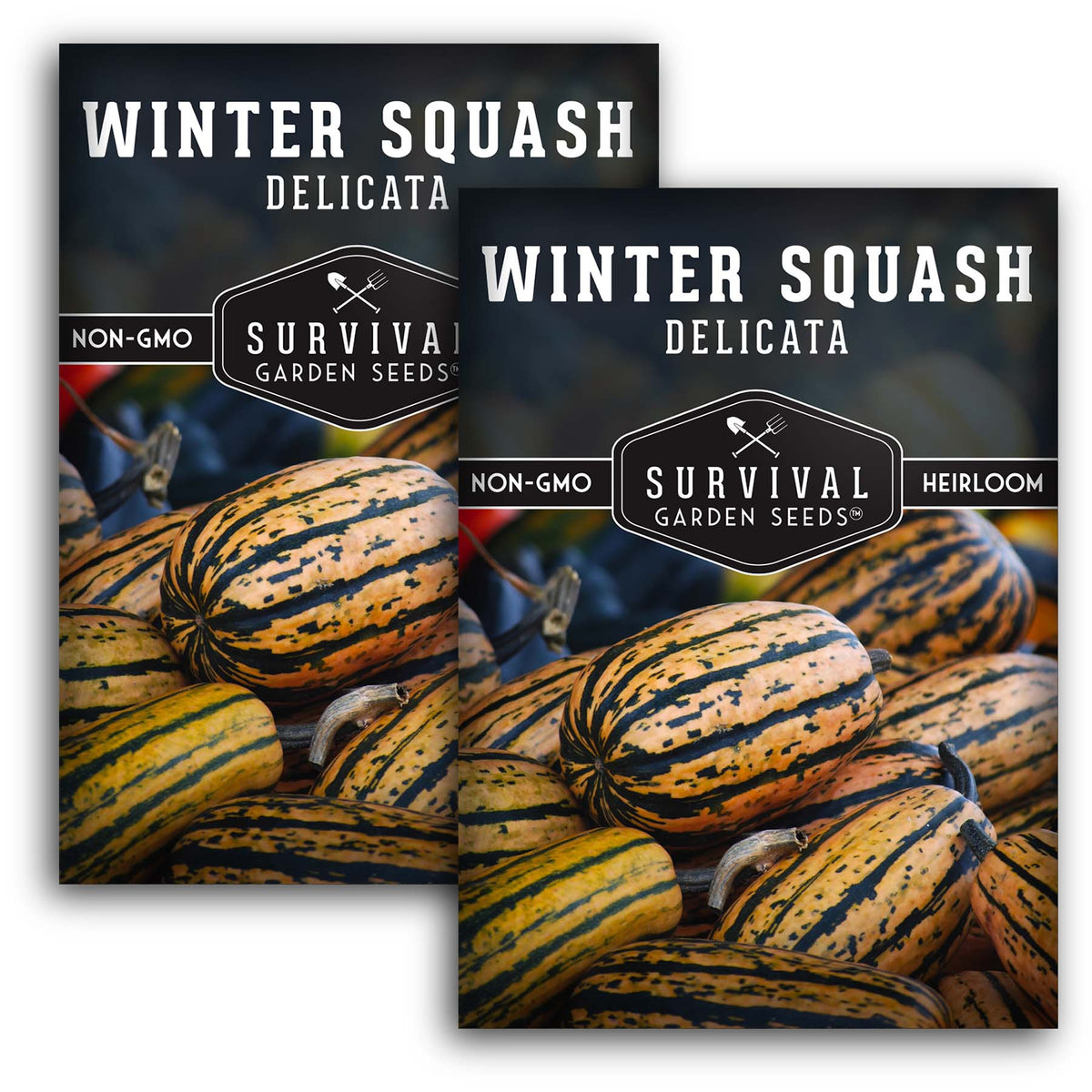 Delicata Winter Squash Seeds
