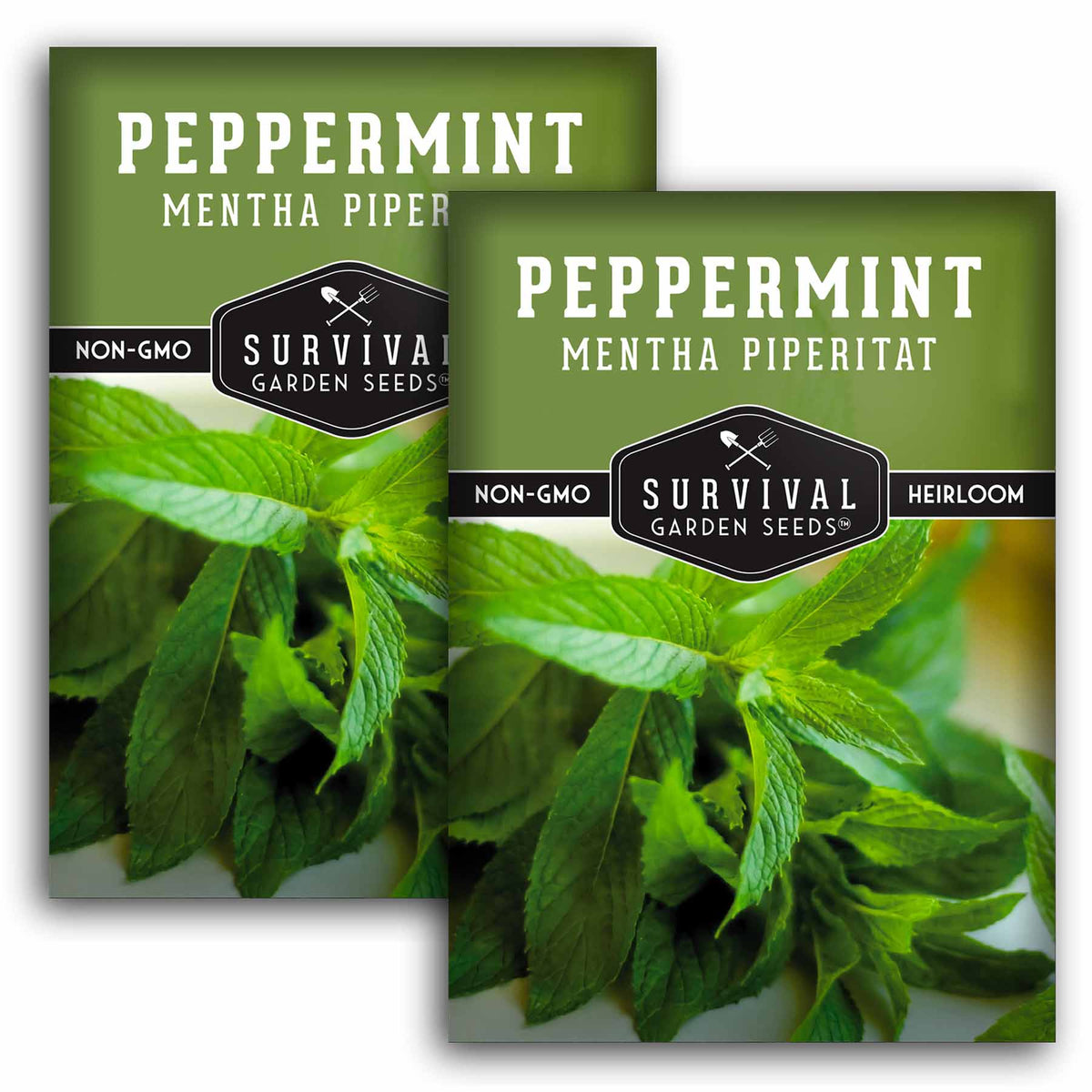 2 packets of peppermint seeds