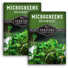 Buckwheat Microgreens Seeds - Tangy Flavor