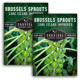 Long Island Improved Brussels Sprouts Seeds